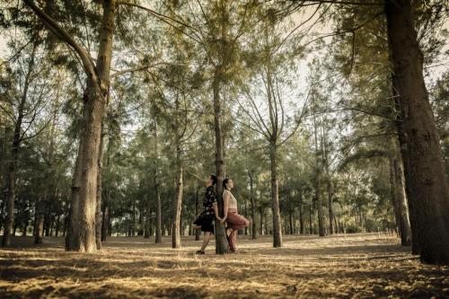 PAG-03-EDGAR-Y-FANY  161 (1) (1)